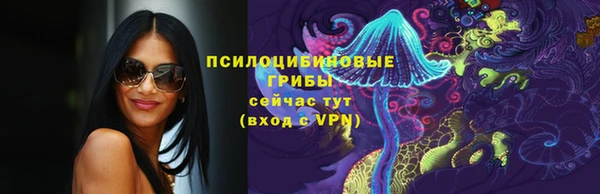 молекула духа Алексеевка