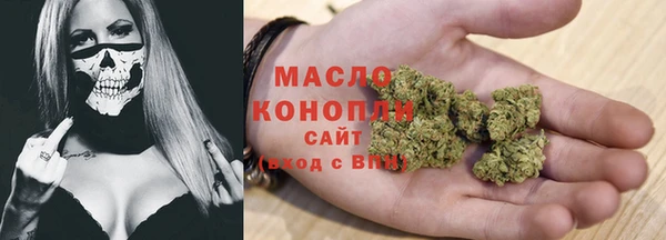 молекула духа Алексеевка