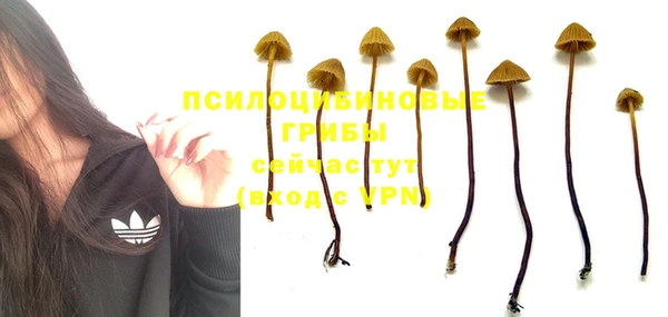 spice Алзамай