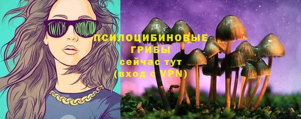 spice Алзамай