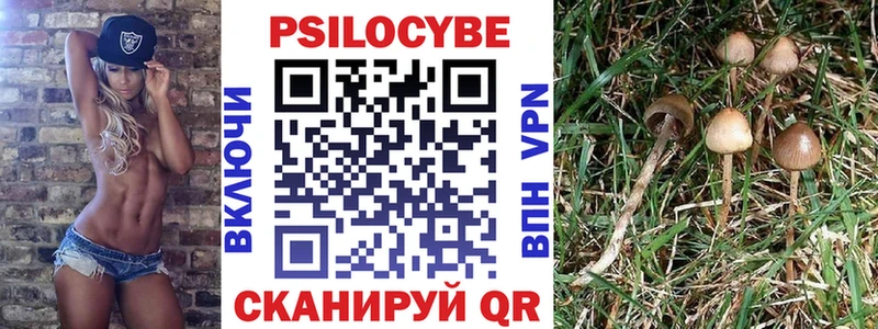Галлюциногенные грибы Psilocybe  MEGA ССЫЛКА  Покров  продажа наркотиков 